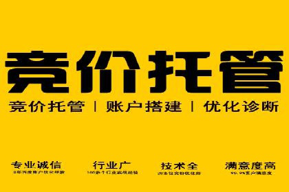 SEM代理操作技巧：成功案例揭秘